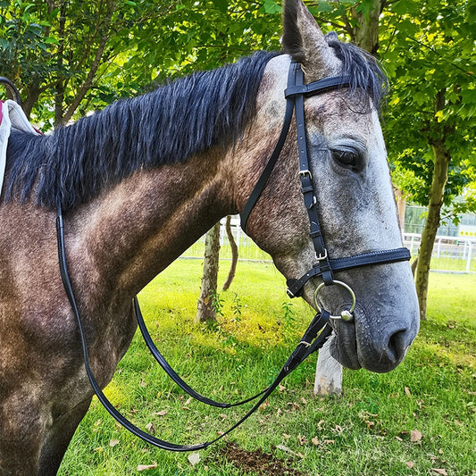 CABEÇADA/BRIDLE "CAVASSION" C/ RÉDEAS - PROFISSIONAL